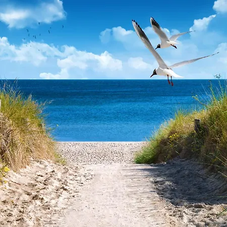 2 Sea C 58 Σπίτι διακοπών Großenbrode